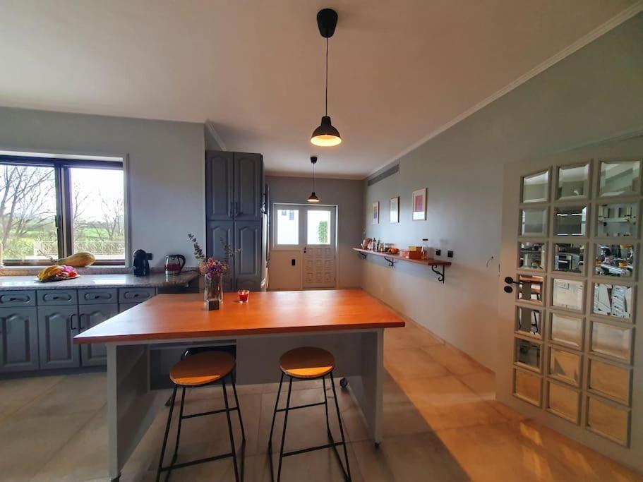 Azurara Guesthouse מראה חיצוני תמונה